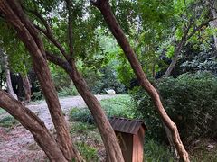 -西苑公园