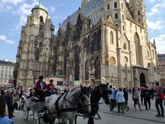 -斯蒂芬主教座堂(Stephansdom)