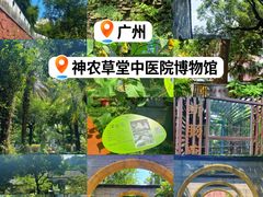 -广州神农草堂中医药博物馆