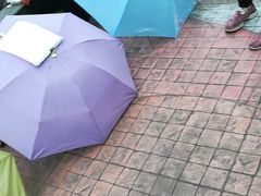 -人民公园-相亲角