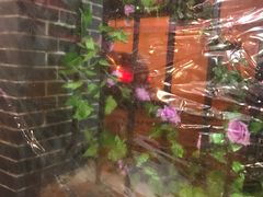 -做了不起的80后