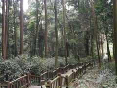 -凤栖山