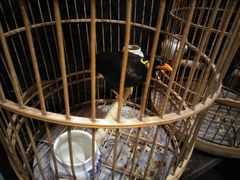 -到家尝北京菜(西坝河店)