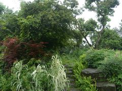 -张坝桂圆林公园