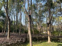 -长广溪湿地公园