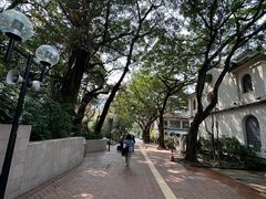 -九龙公园