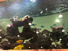 -渔民新村(番禺总店)