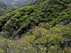 -大岭沟猕猴桃谷风景区