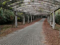 -上海海湾国家森林公园