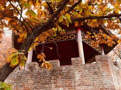 -北京十三陵国家森林公园蟒山景区