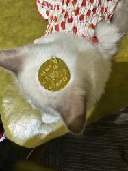 -邵老师打金·黄金加工(大望路总店)