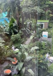-宝生月子中心·私家园林式(龙华观澜店)
