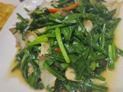 韭菜鱿鱼-华盛丰温州大排档(东三环南路店)