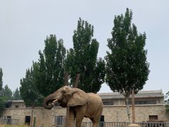 -石家庄市动物园