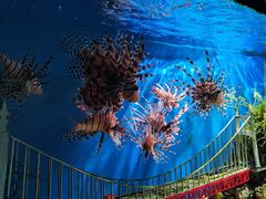 -太平洋海底世界