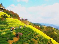 -新安江山水画廊风景区