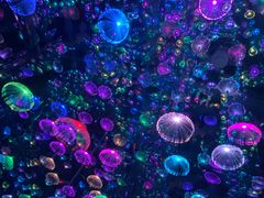 -梵高星空艺术馆(北京旗舰店)