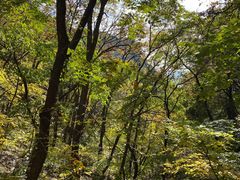-北京上方山国家森林公园