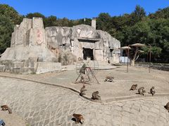 -哈尔滨北方森林动物园