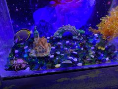 -海合安青岛极地海洋公园