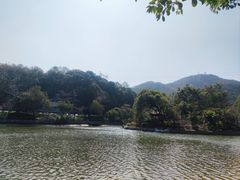 -广州市帽峰山景区