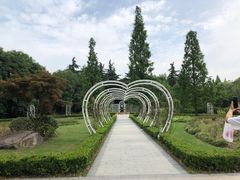 -昆山城市生态森林公园