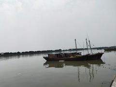 -大湾区中央湿地公园-十九涌