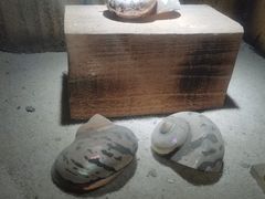 -南昌海洋公园