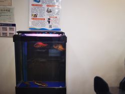 -原素造型