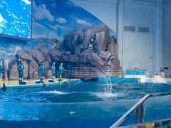 -福州罗源湾海洋世界旅游区