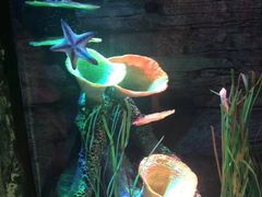 -沈阳海洋探索中心