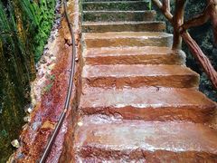 -鹿院坪生态旅游景区