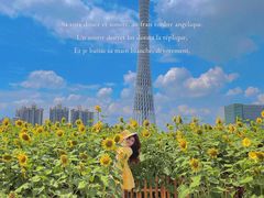 -海心沙亚运公园