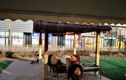 -萌宠亲子动物乐园(槐房万达店)