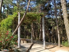 -红螺寺