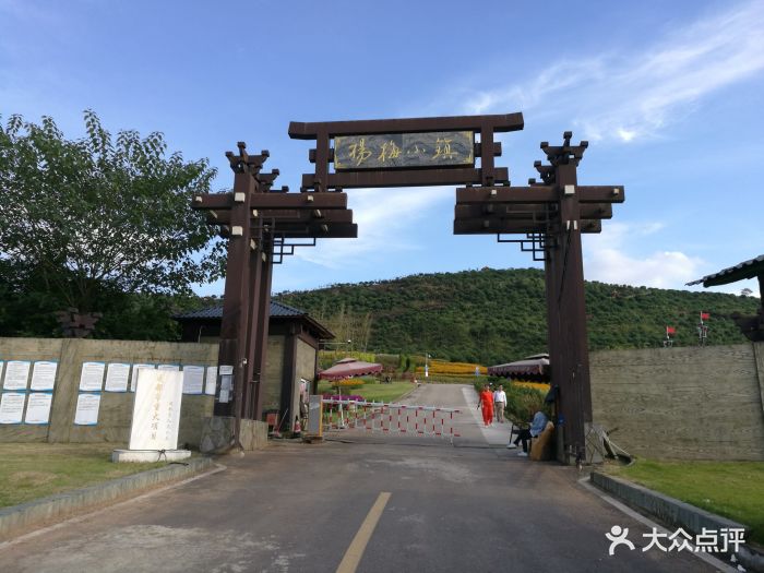 杨梅小镇图片 第7张