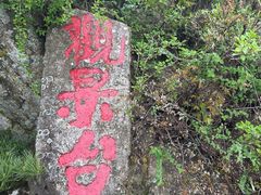 -王顺山国家森林公园