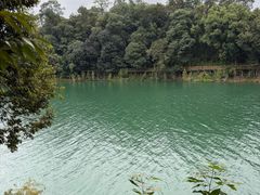 -广州市流溪河国家森林公园