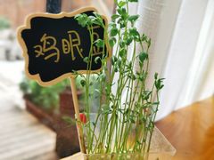 -饵块食光·云南有机手作饵块