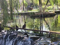 -水磨沟公园
