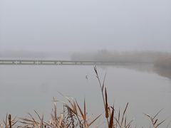 -盐城丹顶鹤湿地生态旅游区