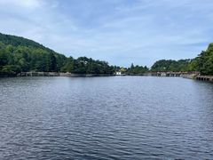 -庐山风景区花径公园