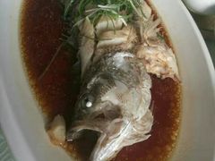 -上庄晋风庄园(上庄店)