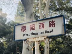 -武汉大学-樱园