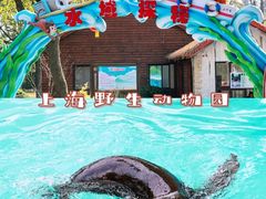 -上海野生动物园