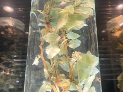 -广东中医药博物馆