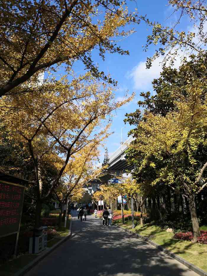 泾东公园-"[糖果][糖果]位置: 泾东公园位于浦东."-大众点评移动版