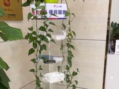 -美年大健康体检(江门万达分院)