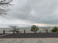-深圳湾公园(南山区)