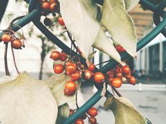 -河海大学(常州校区)